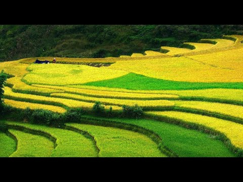 Hotspot Matrix: Biến Ăn sáng cơm nhà: Điều gì đang thành cơ hội marketing đột phá_Gói tiếp thị kỹ thuật số dịch vụ