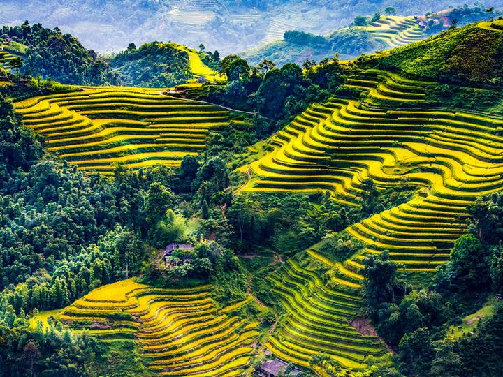 Hotspot Matrix: Biến Phương Oanh diện set đồ 50 thành cơ hội marketing đột phá