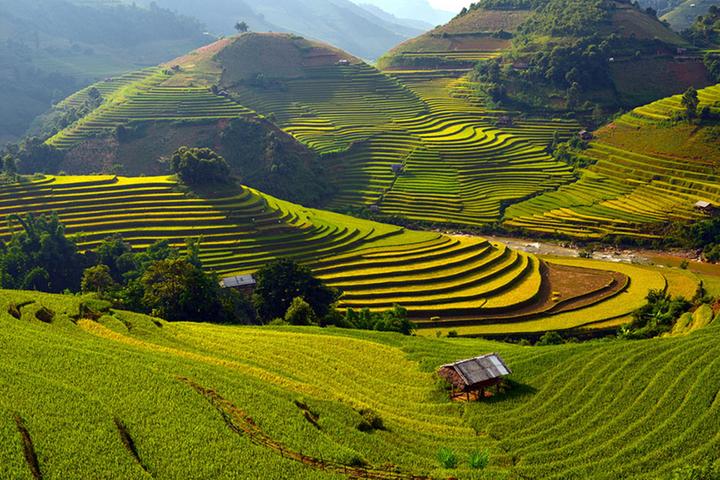 Nội dung: Mùa hè đang đến và với nó, xu hướng mới về áo vai bèo đang ngày càng trở nên