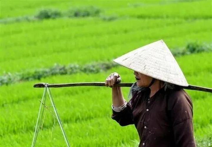 Hotspot Matrix: Biến 