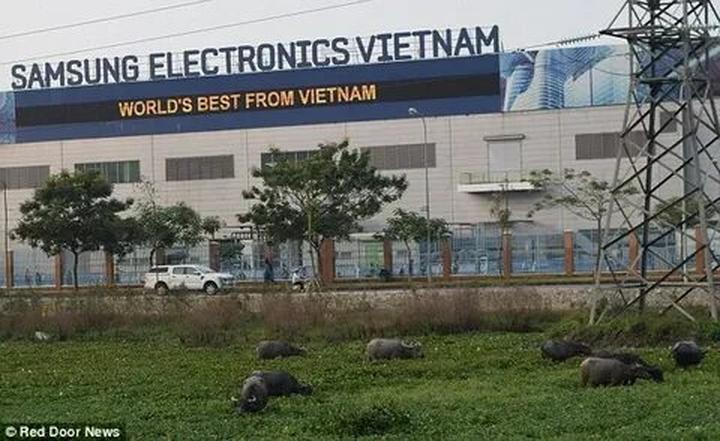 Hotspot Matrix: Biến Ai bảo mặc váy đen mùa hè là thành cơ hội marketing đột phá