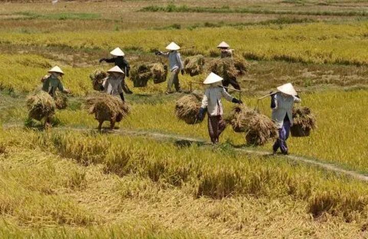 Hotspot Matrix: Bí quyết pha chế thành công trên mạng xã hội